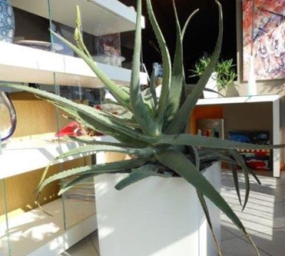 5_div_DRAG-IMG-TESTO-SLIDE-ZOOM_CHILD_20181121_102802